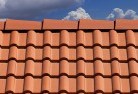 Evanston Parkroof-conversions-4.jpg; ?>