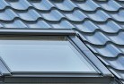 Evanston Parkskylights-4.jpg; ?>